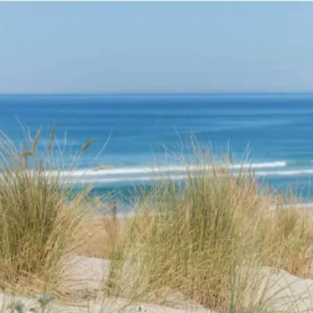 Apartamento In Near Sandy