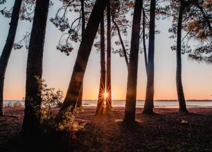 In Near Sandy بيسكاروس