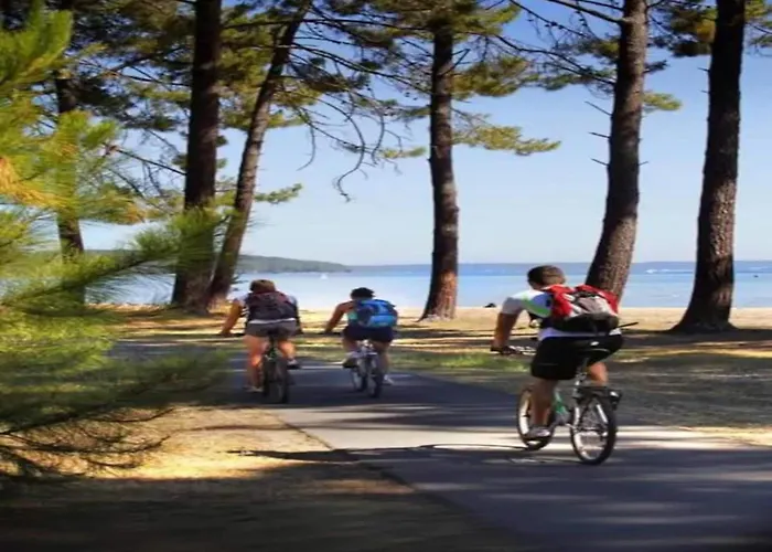 In Near Sandy بيسكاروس